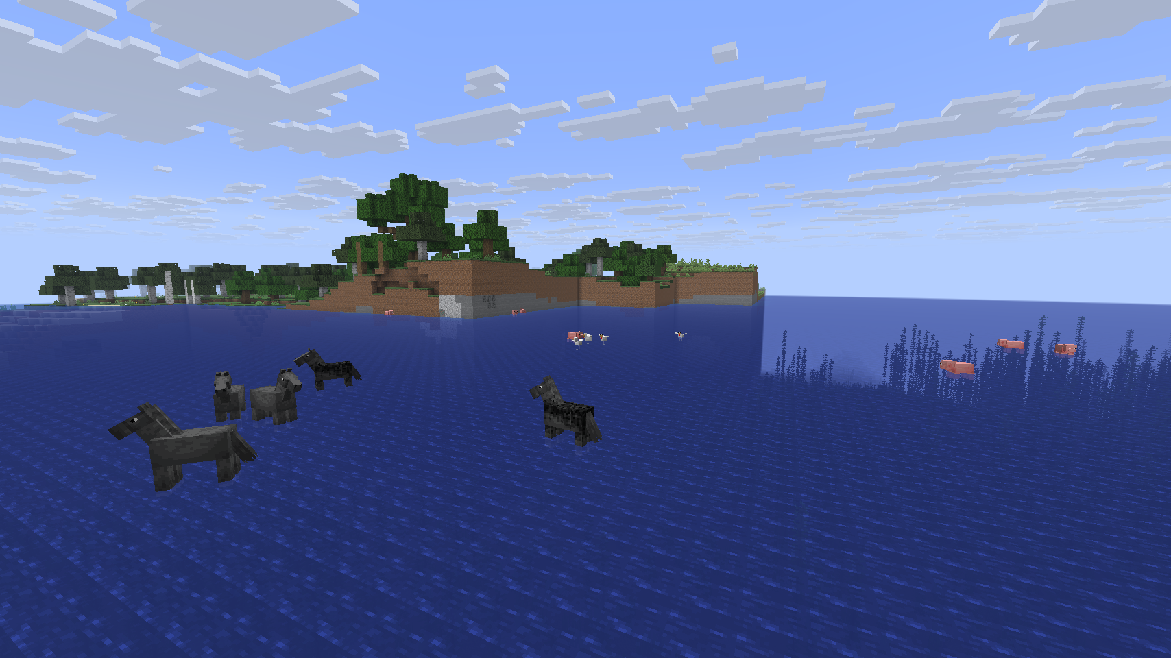 Ocean Hoppin' Animal Land